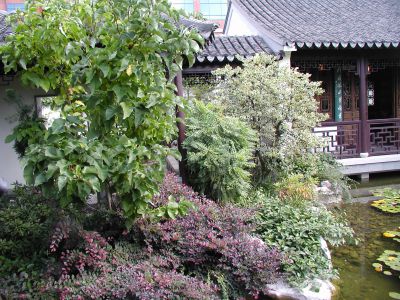 Portland OR Classical Chinese Garden 2003_25
Portland OR Classical Chinese Garden 2003
Keywords: Chinese Garden